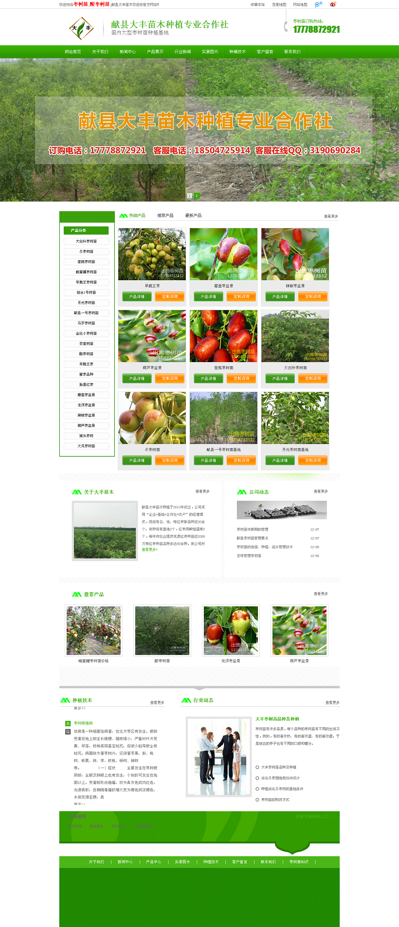 棗樹苗_酸棗樹苗_獻(xiàn)縣大豐苗木歡迎你.png