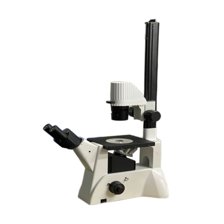 細(xì)胞工廠顯微鏡圖片